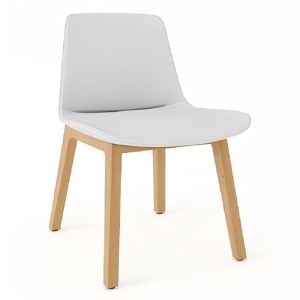 modern minimalist plastic dining chair