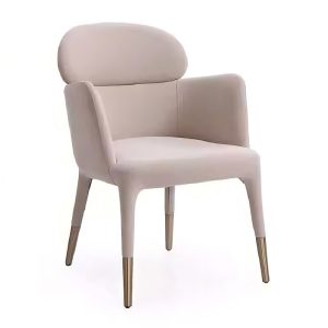 beige light luxury stainless steel dining chair